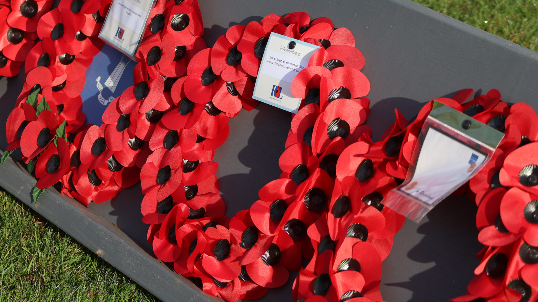 poppy wreaths for remembrance sunday