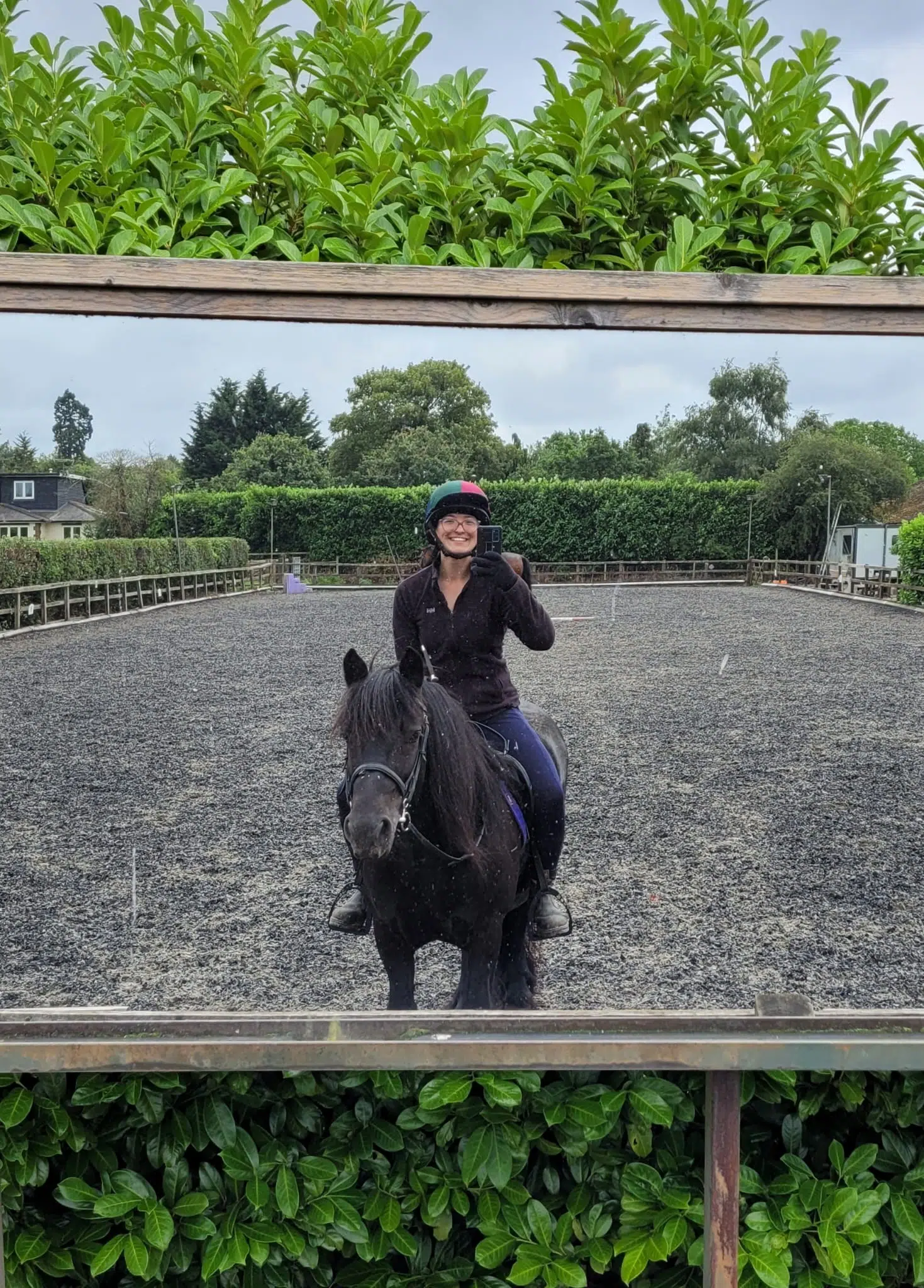 A smiling rider wearing a helmet on a dark horse, taking a selfie in an outdoor riding arena with green hedges in the background.